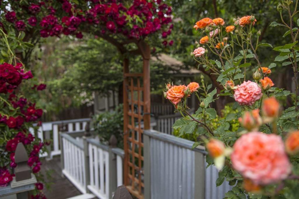 Forfriends Inn Wine Country Bed And Breakfast 산타 이네즈 외부 사진