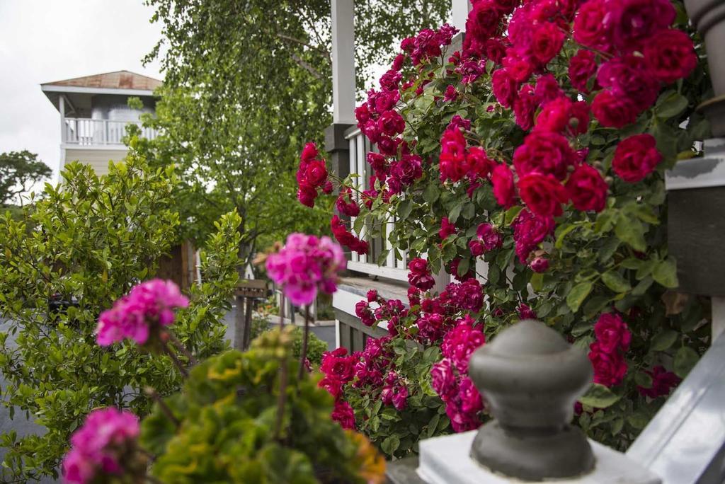 Forfriends Inn Wine Country Bed And Breakfast 산타 이네즈 외부 사진